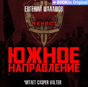 Чекист. Южное направление — Евгений Шалашов