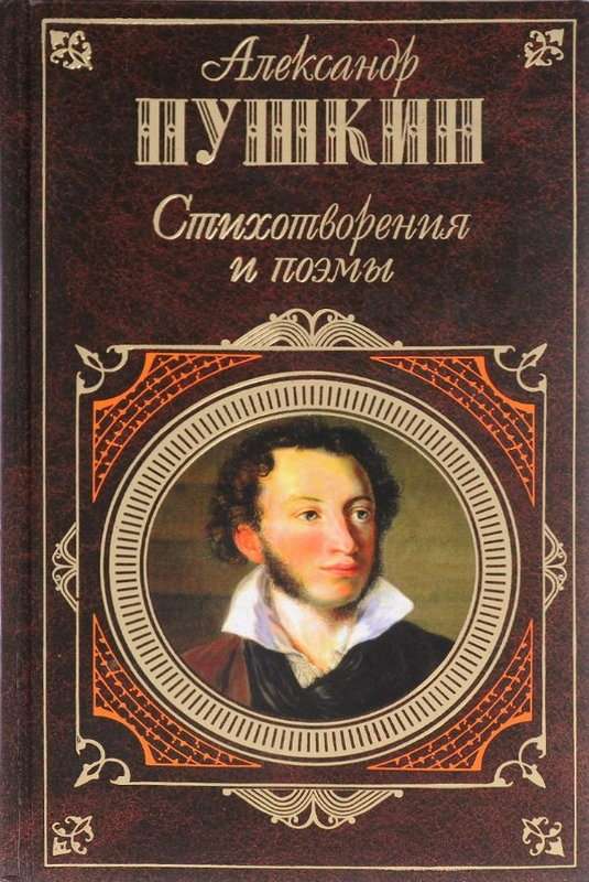 «Был и я среди донцов...» — Пушкин А. С.