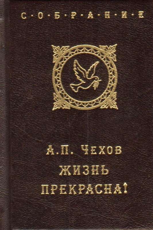 Жизнь прекрасна! — Чехов А. П.