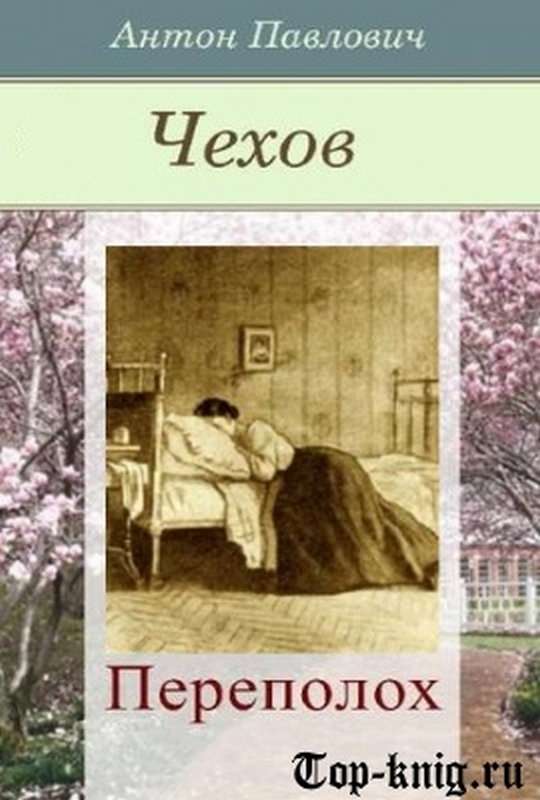 Переполох — Чехов А. П.